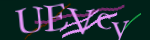 Enter the character string shown in the picture